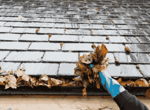 GUTTER CLEANING (1)